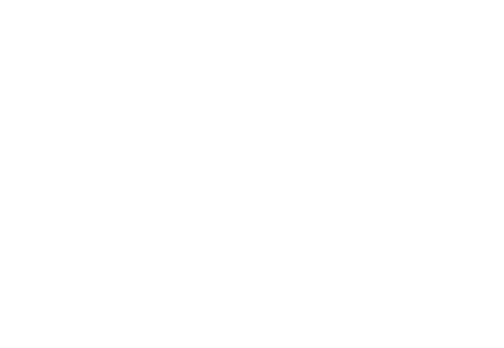 FluxPic 使用场景
